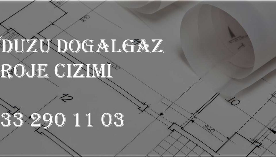 Beylikdüzü Doğalgaz Proje Çizimi