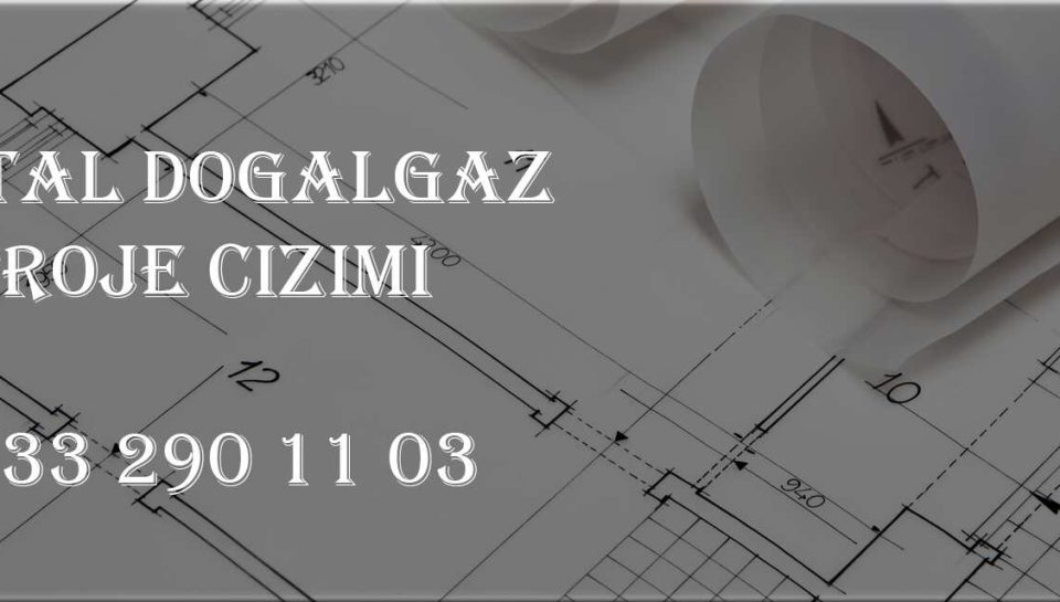Kartal Doğalgaz Proje Çizimi