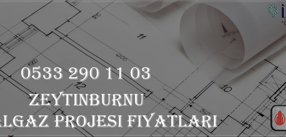 Zeytinburnu Doğalgaz Projesi Fiyatları Zeytinburnu Doğalgaz Projesi Fiyatları